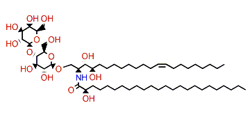 Acanthalactoside B